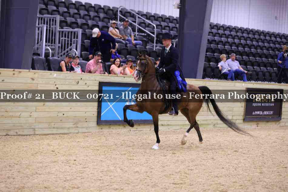 Proof 21_BUCK_00721