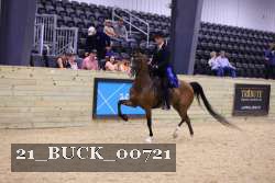 21_BUCK_00721 proof