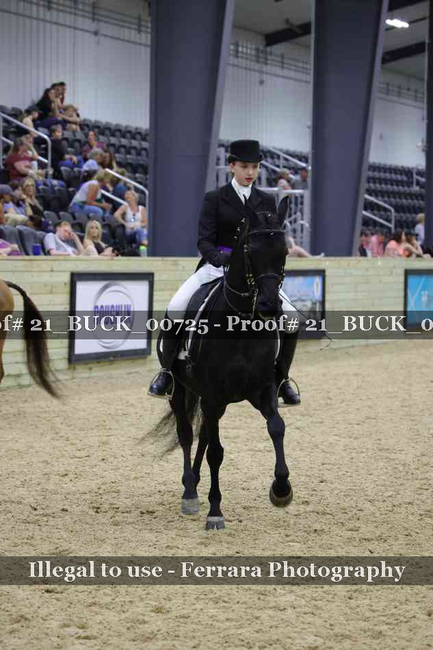 Proof 21_BUCK_00725