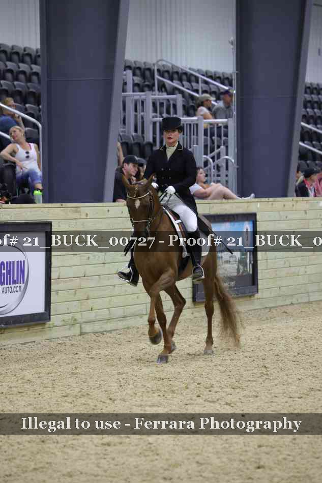 Proof 21_BUCK_00727