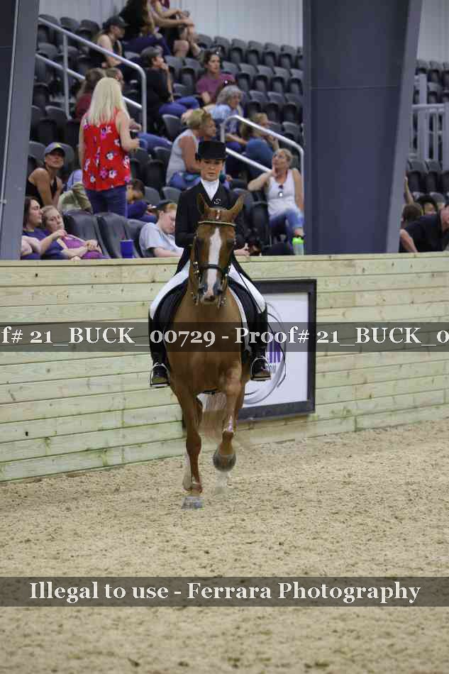 Proof 21_BUCK_00729