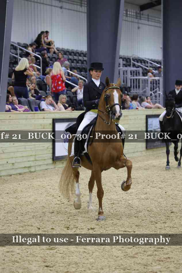 Proof 21_BUCK_00730