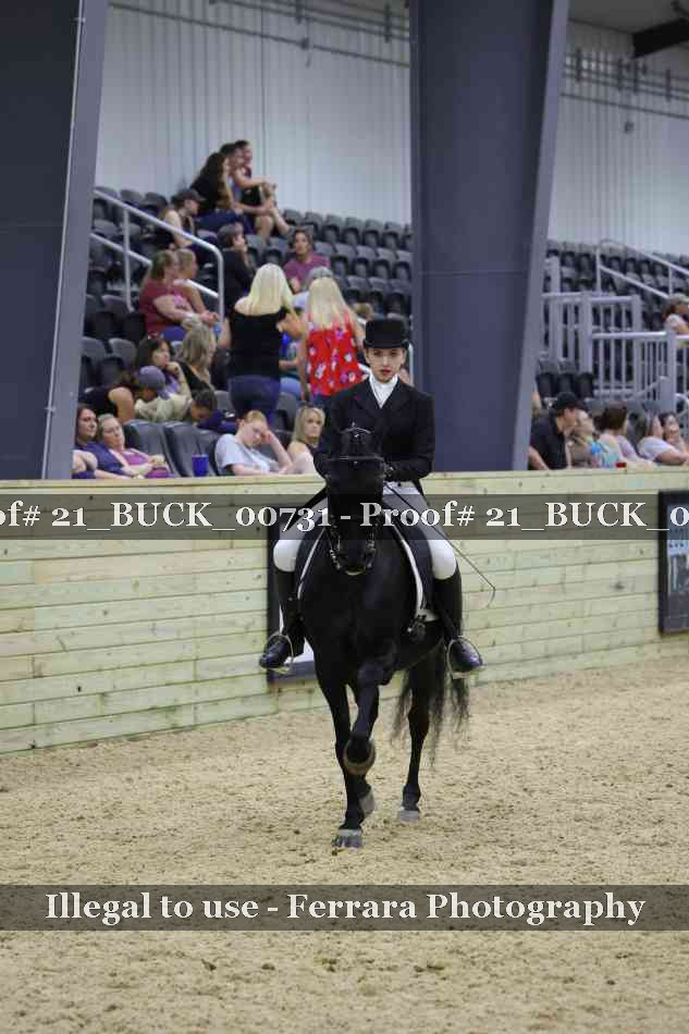 Proof 21_BUCK_00731