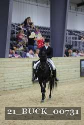 21_BUCK_00731 proof