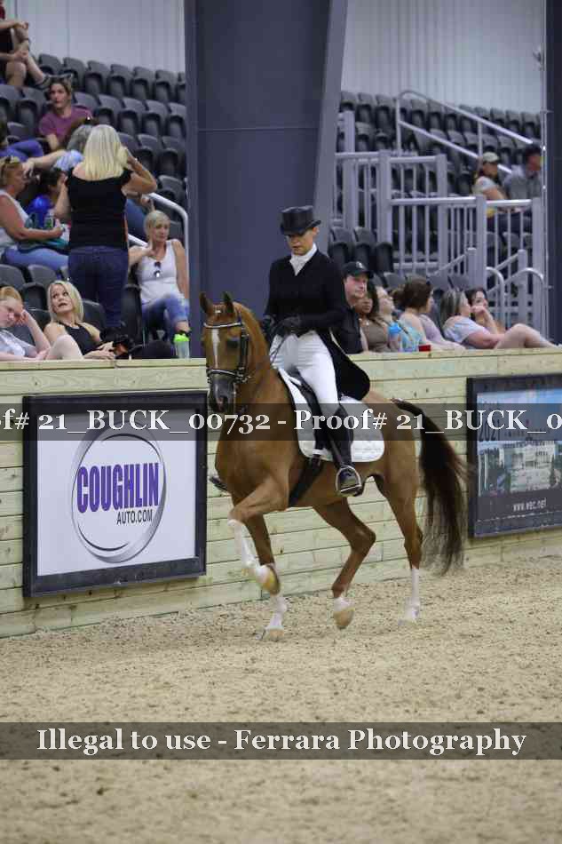 Proof 21_BUCK_00732