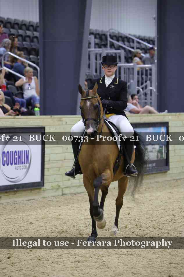 Proof 21_BUCK_00733