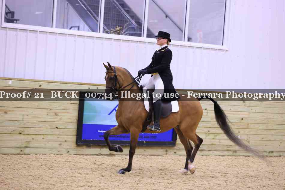 Proof 21_BUCK_00734