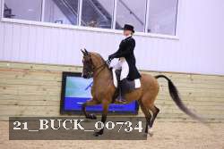 21_BUCK_00734 proof