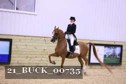 21_BUCK_00735 proof