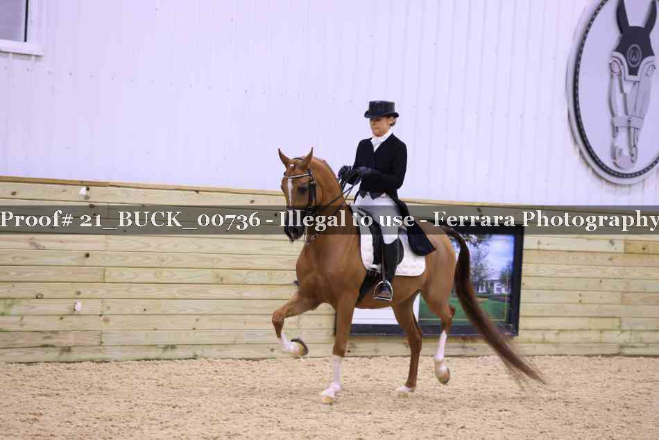 Proof 21_BUCK_00736