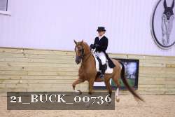 21_BUCK_00736 proof