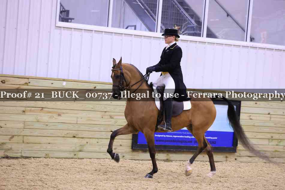 Proof 21_BUCK_00737