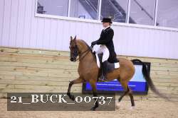 21_BUCK_00737 proof