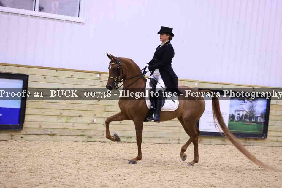 Proof 21_BUCK_00738
