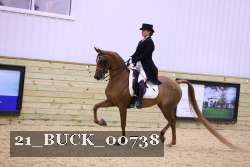 21_BUCK_00738 proof