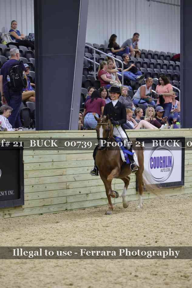 Proof 21_BUCK_00739