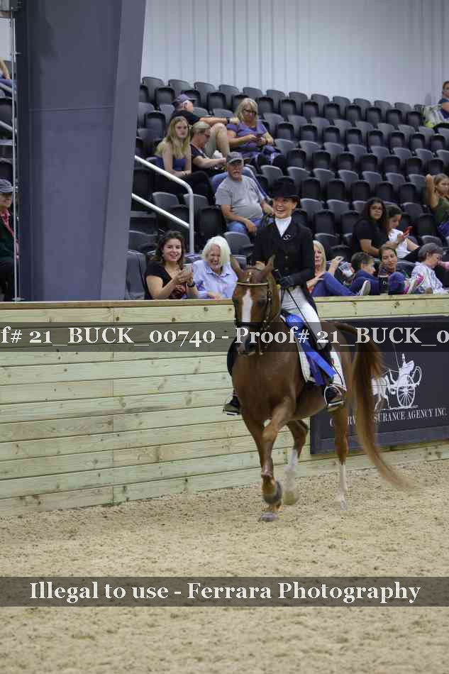 Proof 21_BUCK_00740