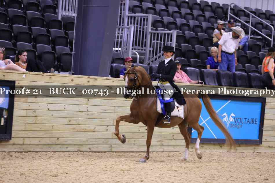 Proof 21_BUCK_00743