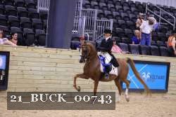 21_BUCK_00743 proof