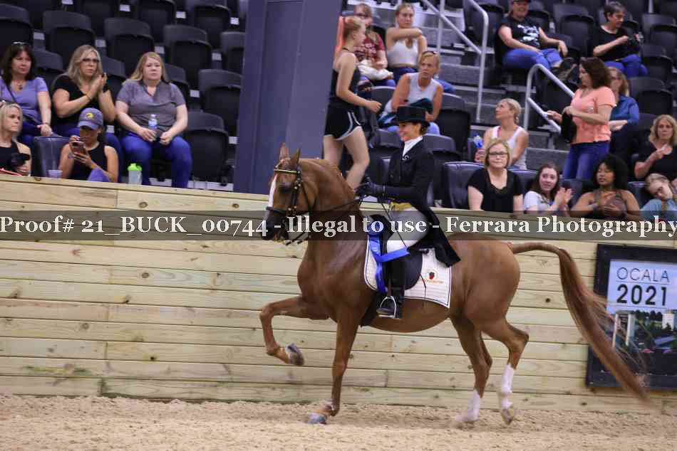 Proof 21_BUCK_00744