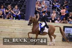 21_BUCK_00744 proof