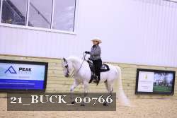 21_BUCK_00766 proof