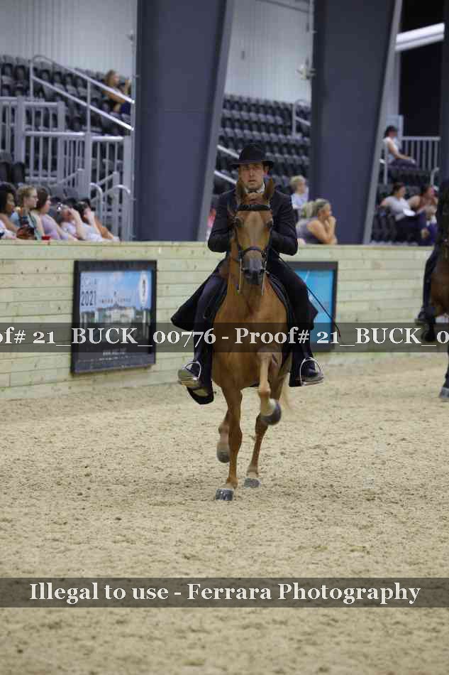 Proof 21_BUCK_00776