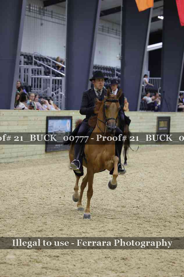 Proof 21_BUCK_00777