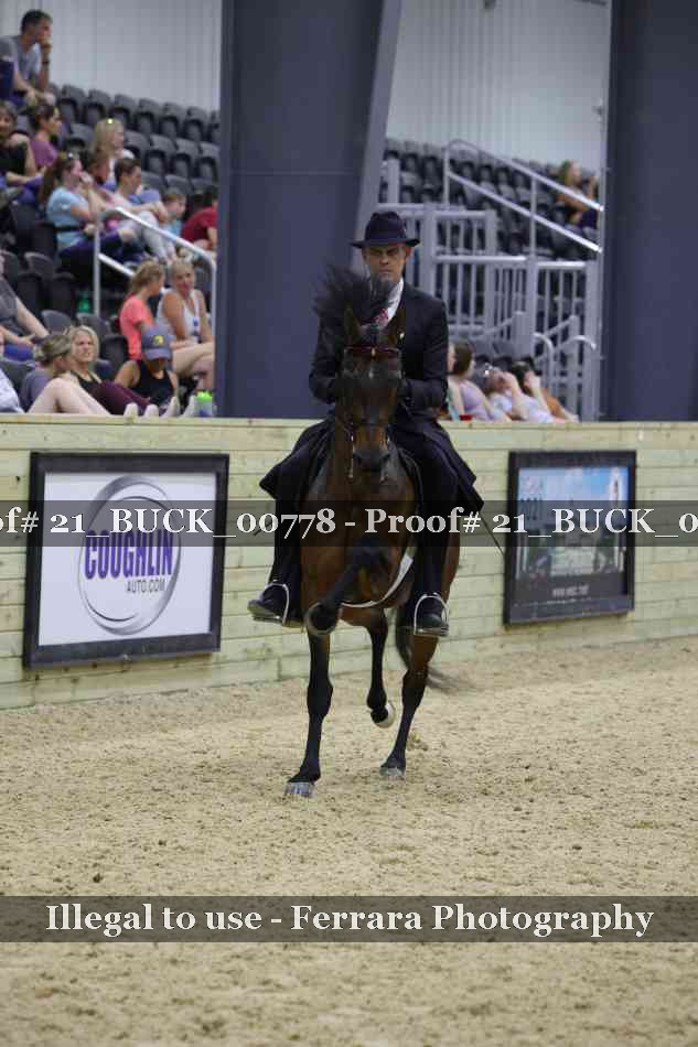Proof 21_BUCK_00778