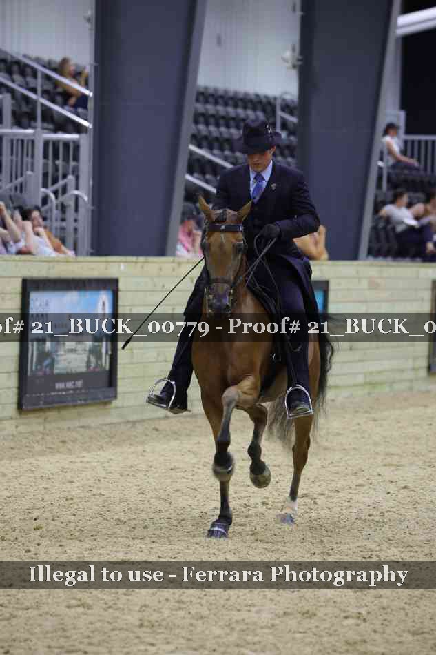 Proof 21_BUCK_00779