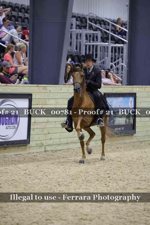 Proof 21_BUCK_00781