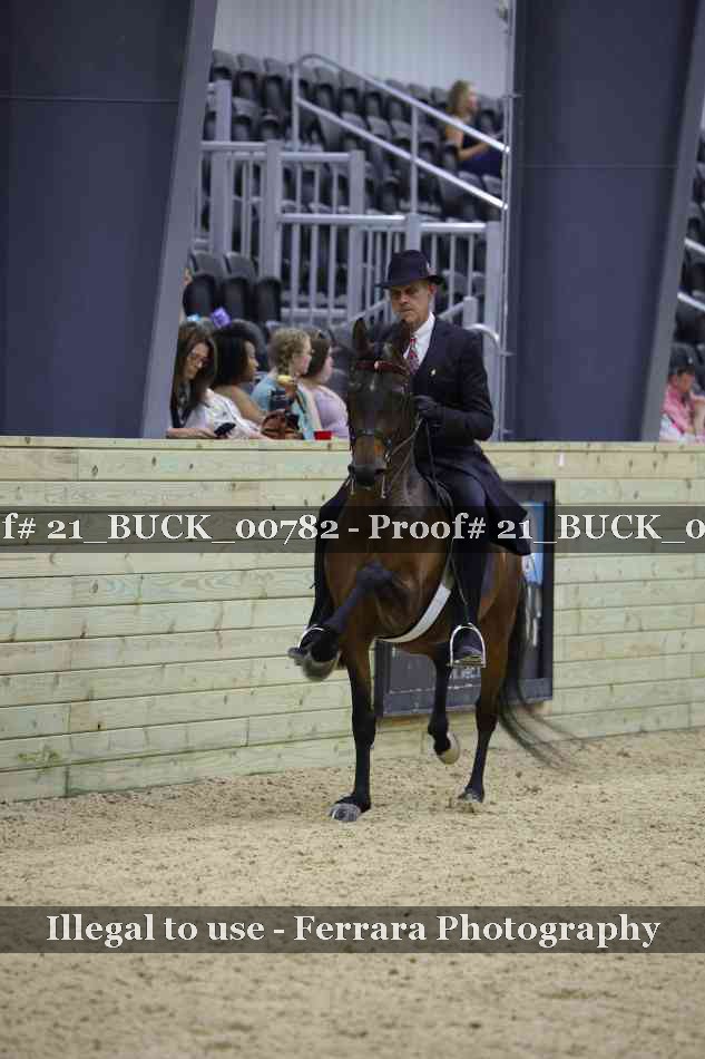 Proof 21_BUCK_00782