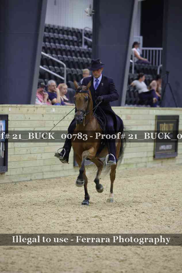 Proof 21_BUCK_00783