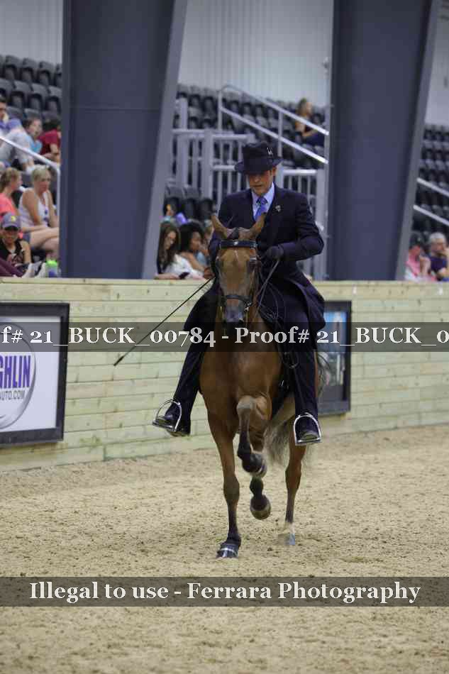 Proof 21_BUCK_00784