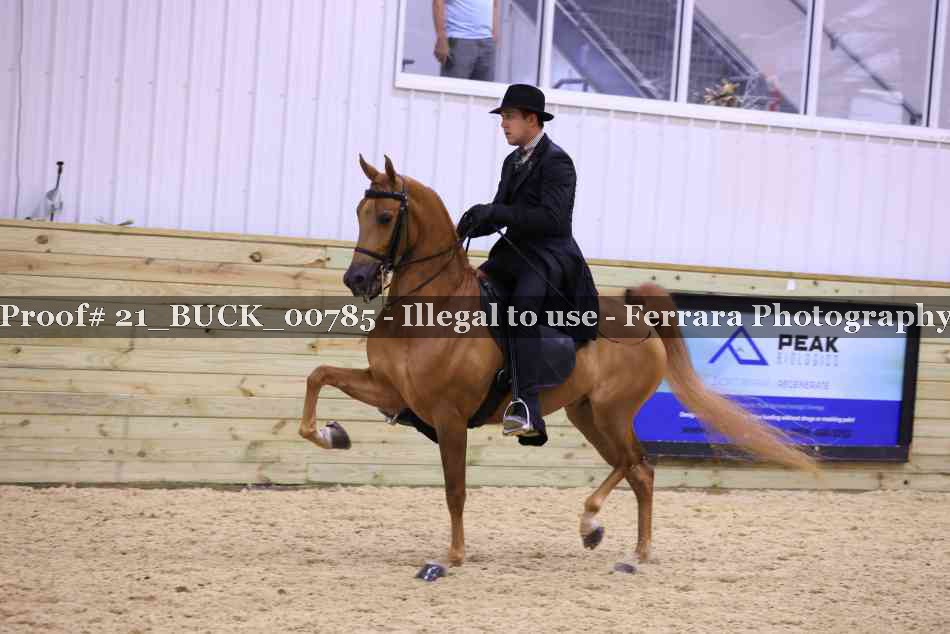 Proof 21_BUCK_00785