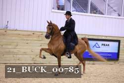 21_BUCK_00785 proof