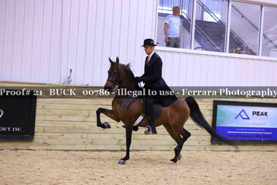 Proof 21_BUCK_00786