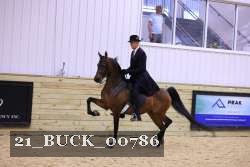 21_BUCK_00786 proof