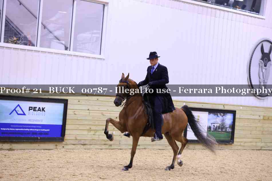 Proof 21_BUCK_00787