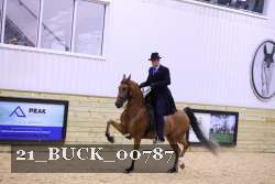21_BUCK_00787 proof