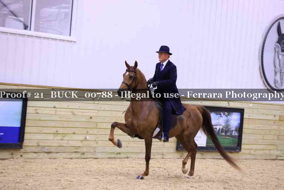 Proof 21_BUCK_00788