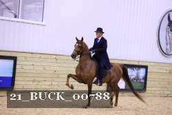 21_BUCK_00788 proof