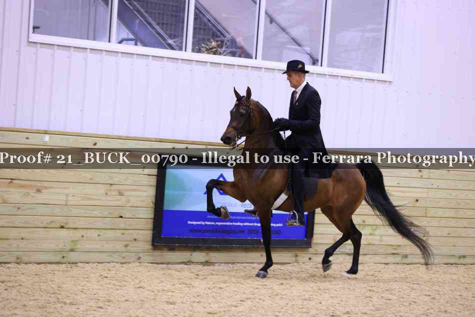 Proof 21_BUCK_00790