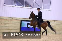 21_BUCK_00790 proof