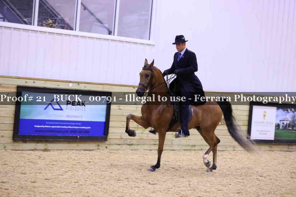 Proof 21_BUCK_00791