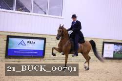21_BUCK_00791 proof