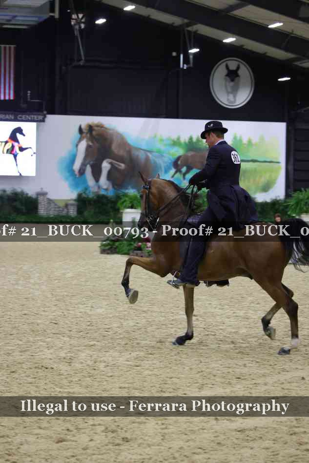 Proof 21_BUCK_00793