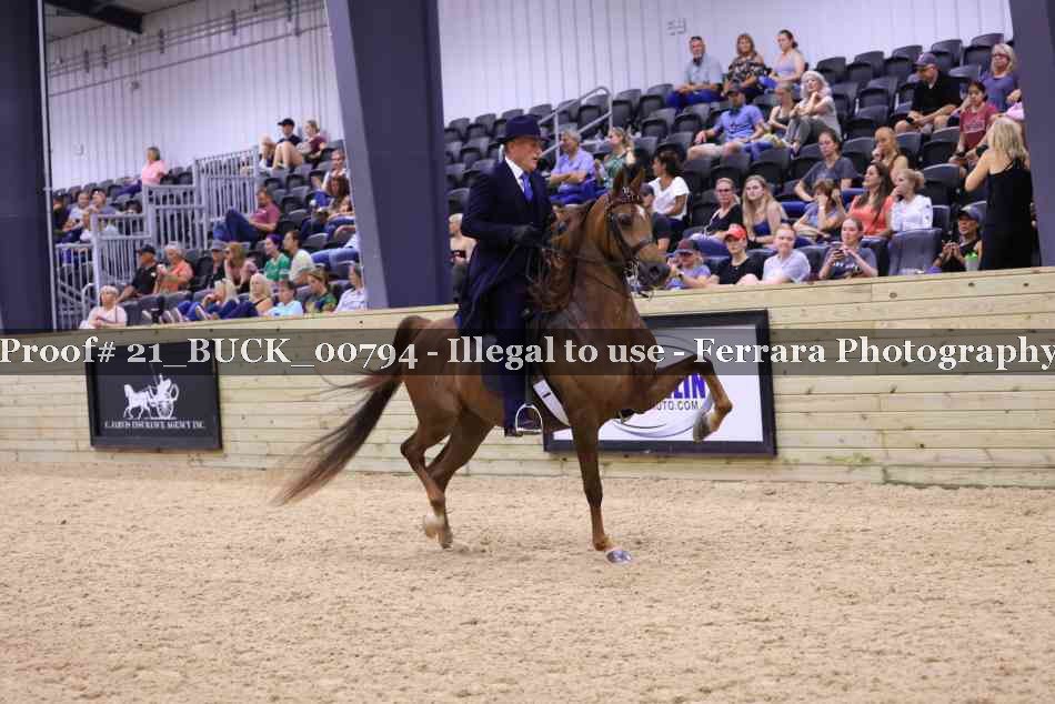 Proof 21_BUCK_00794