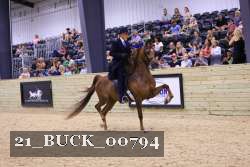 21_BUCK_00794 proof