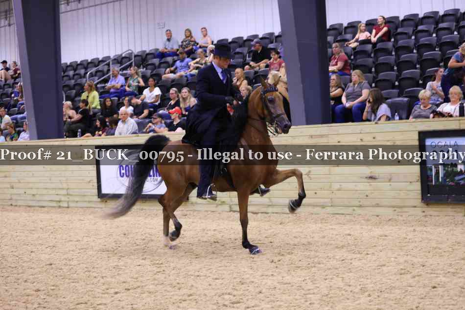 Proof 21_BUCK_00795